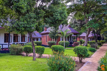 Bougainvillea Safari Lodge 1